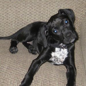 Meet your Posher, Leah